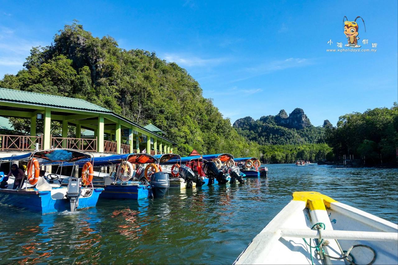 Jelajahi Keajaiban Hutan Bakau Langkawi dengan Tur yang Tak Terlupakan