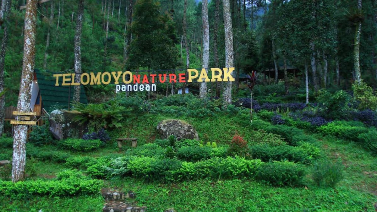 Telomoyo Nature Park: Surga Alam di Lereng Gunung